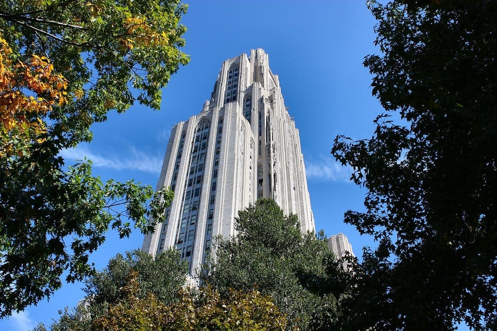 Pitt / NCAA