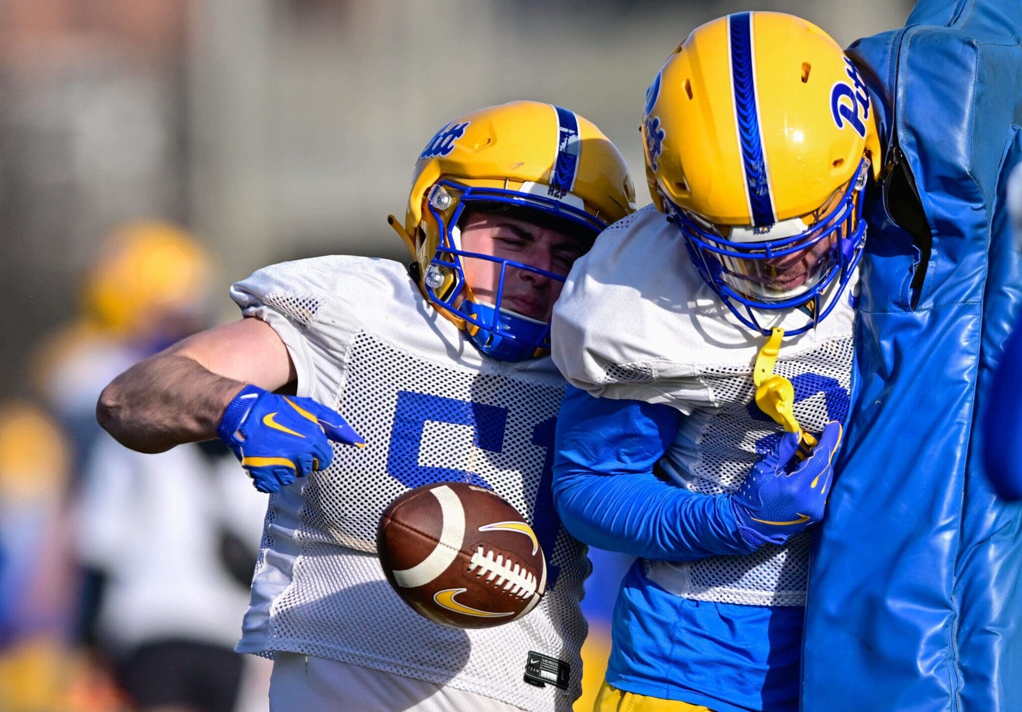 Pitt linebacker Drew Foster (51) rips the ball out during a spring drill. March 13, 2025 -- Ed Thompson / PSN