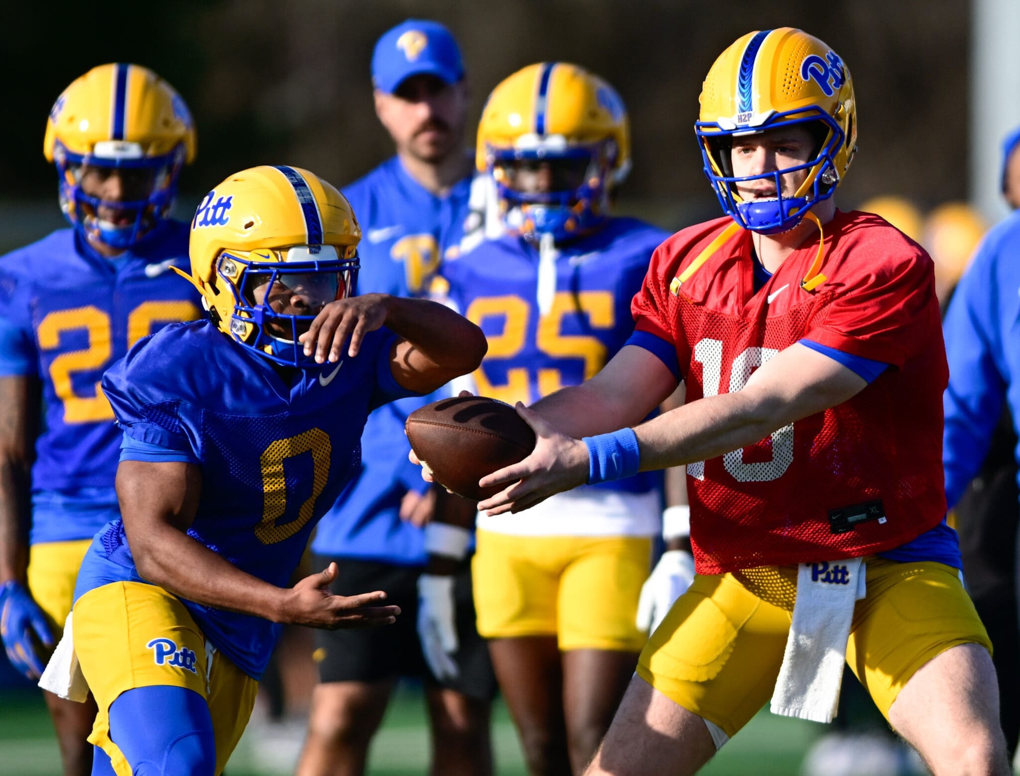 Pitt quarterback Eli Holstein handing the ball off to running back Desmond Reid. March 13, 2025 / Ed Thompson. PSN.