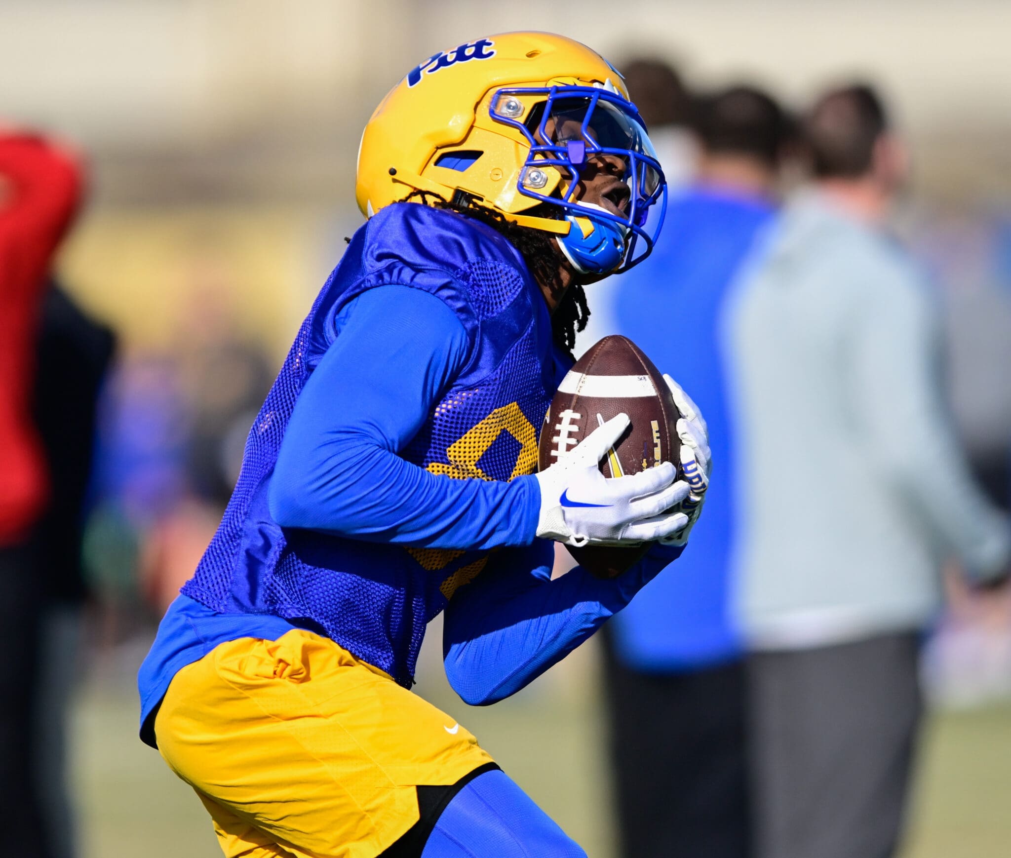 Pitt WR Cataurus Hicks (81)