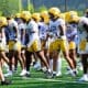 Pitt Football