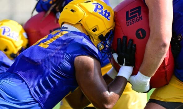 Pitt football