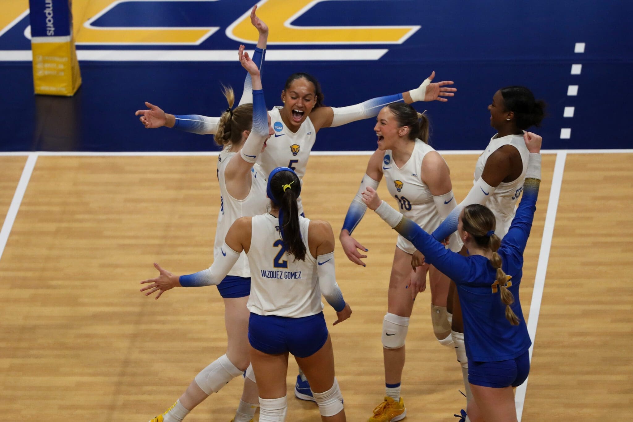 Pitt volleyball.