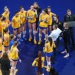 Pitt Volleyball
