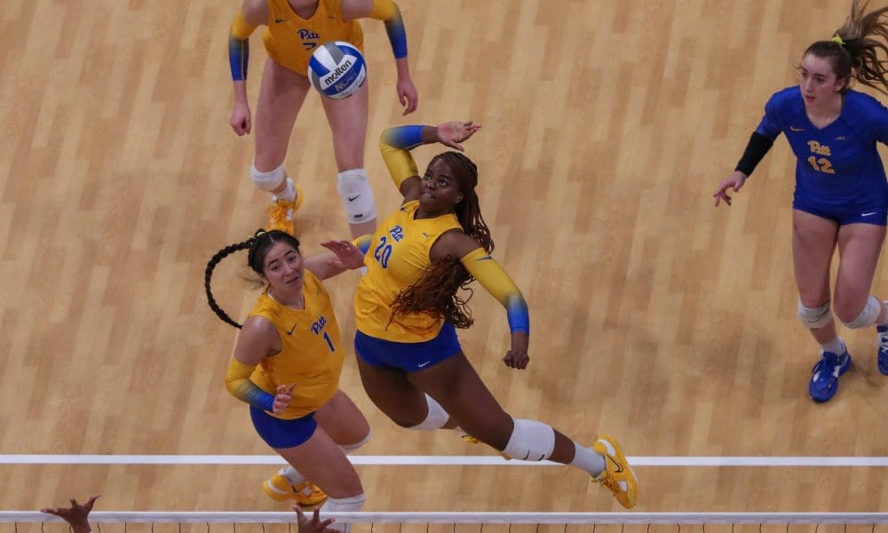 Pitt volleyball