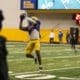 Pitt safety Jesse Anderson.
