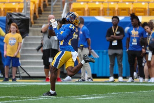 Pitt wide receiver Tyreek Robinson.
