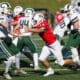 Peters Township defensive end Reston Lehman rushes the passer in the 5A WPIAL Championship game.