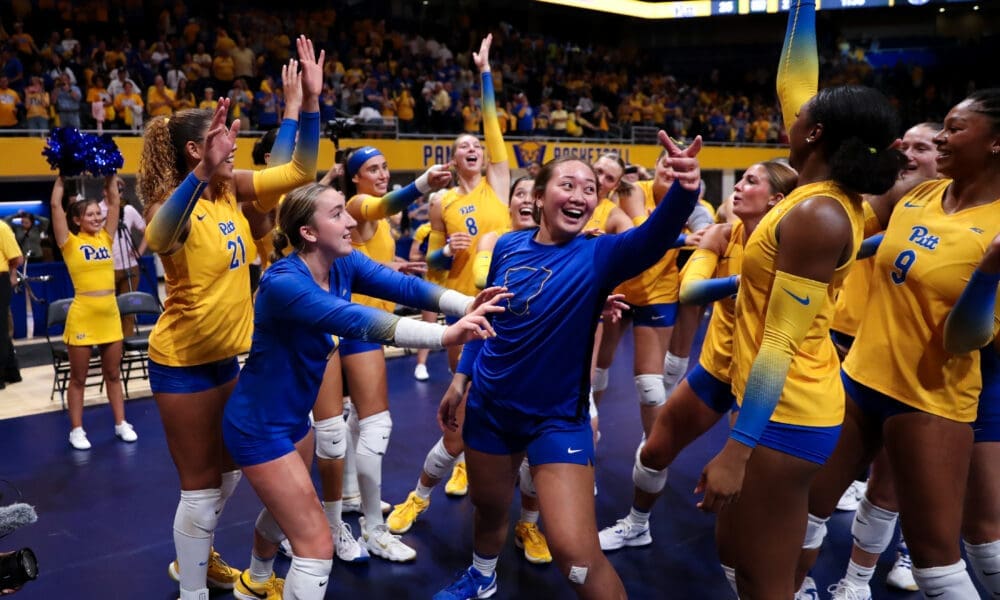 Pitt volleyball.