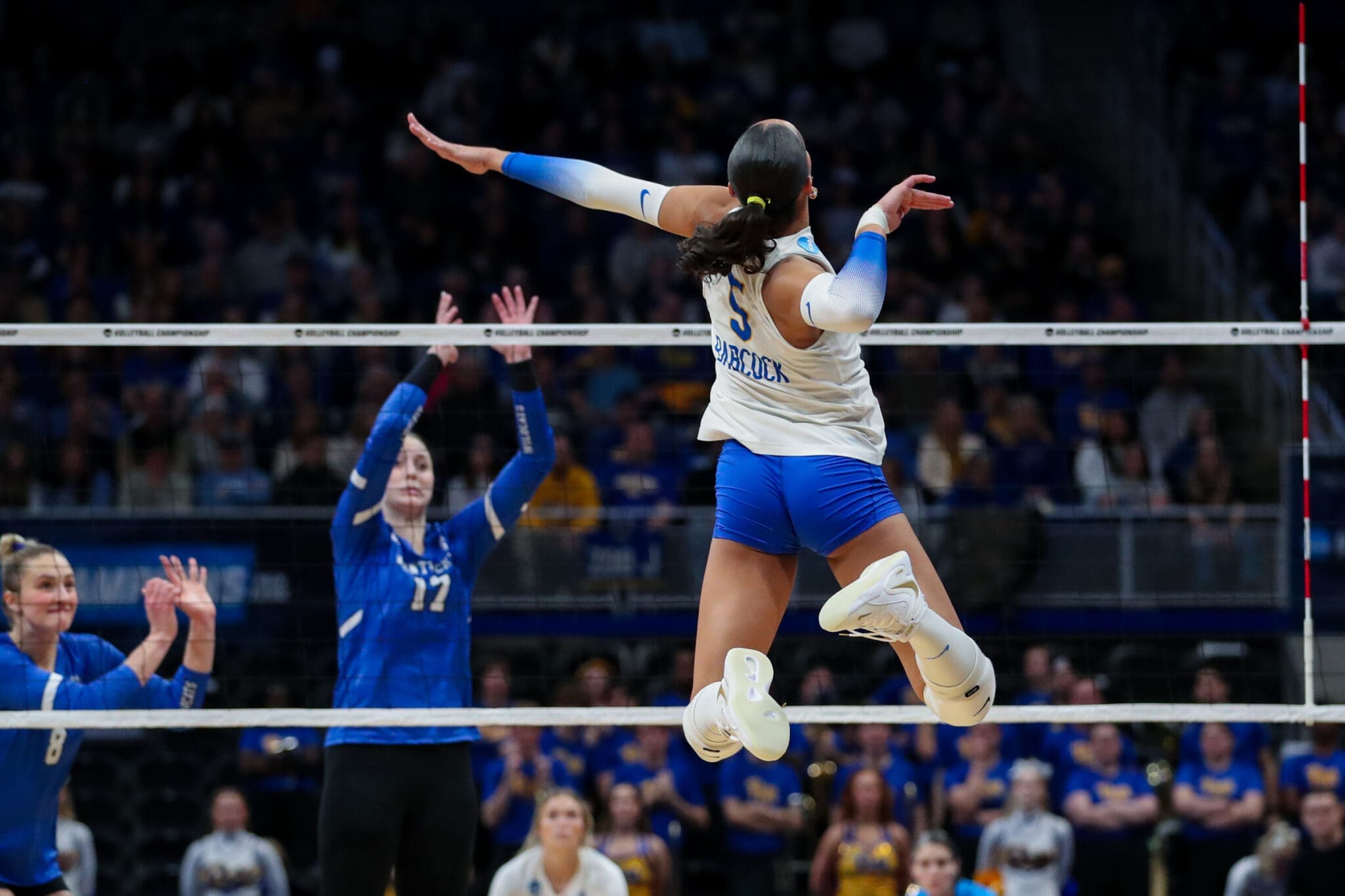 Pitt volleyball star Olivia Babcock