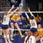 Pitt volleyball