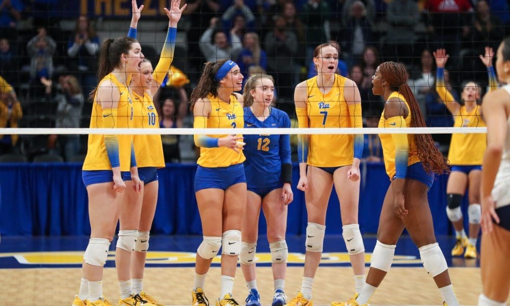 Pitt volleyball