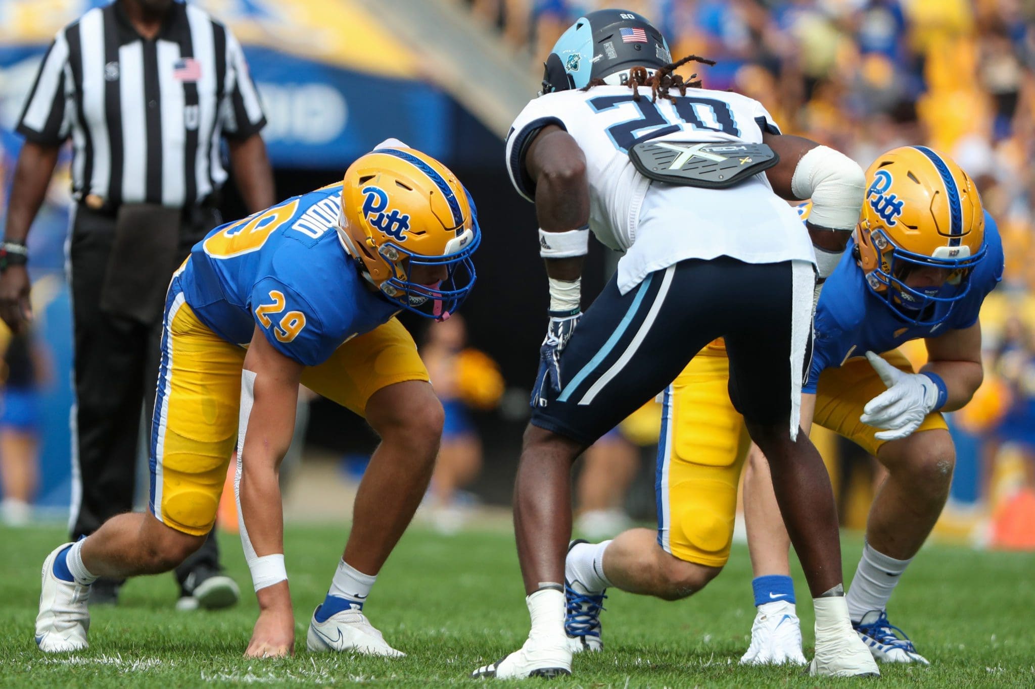 Pitt Panthers linebacker Luke DelGaudio (29) September 24, 2022 David Hague/PSN