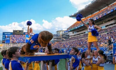 Pitt football