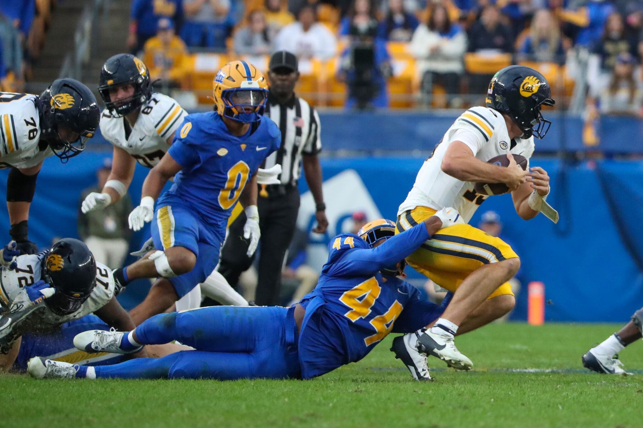 Pitt Panthers defensive lineman Jimmy Scott (44) October 12, 2024 David Hague/PSN