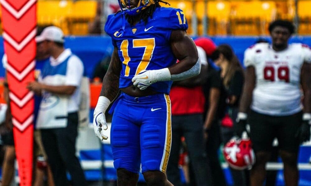 Former Pitt defensive end David Ojiegbe