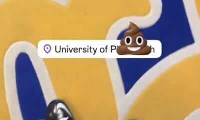 Pitt / Beanie Bishop