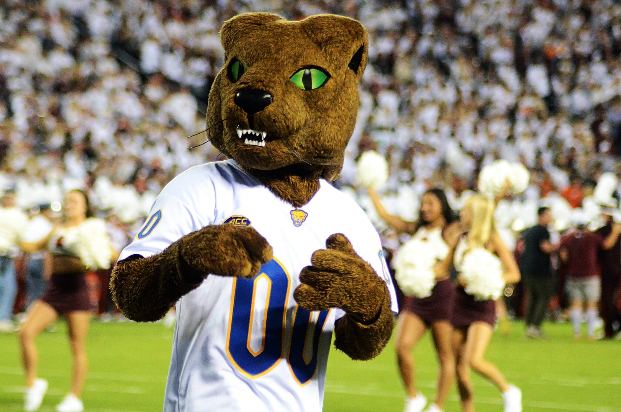 Pitt mascot before the football team faces Virginia Tech on Saturday, Sept. 30, 2023 in Blacksburg, Virginia. (Mitchell Northam / Pittsburgh Sports Now.)