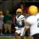 WPIAL